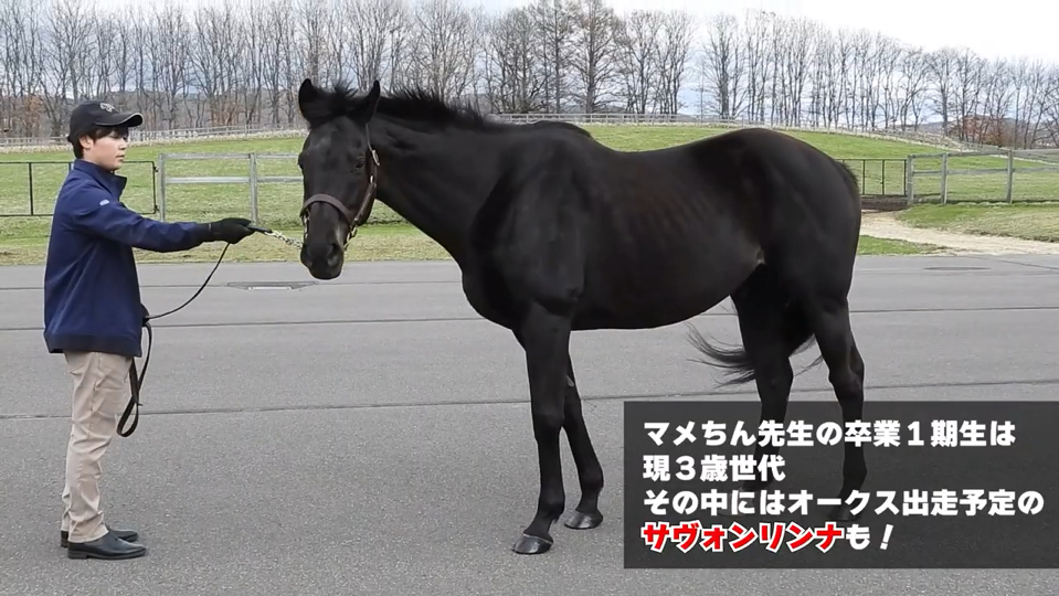 亚洲足球赛场上出现新的黑马