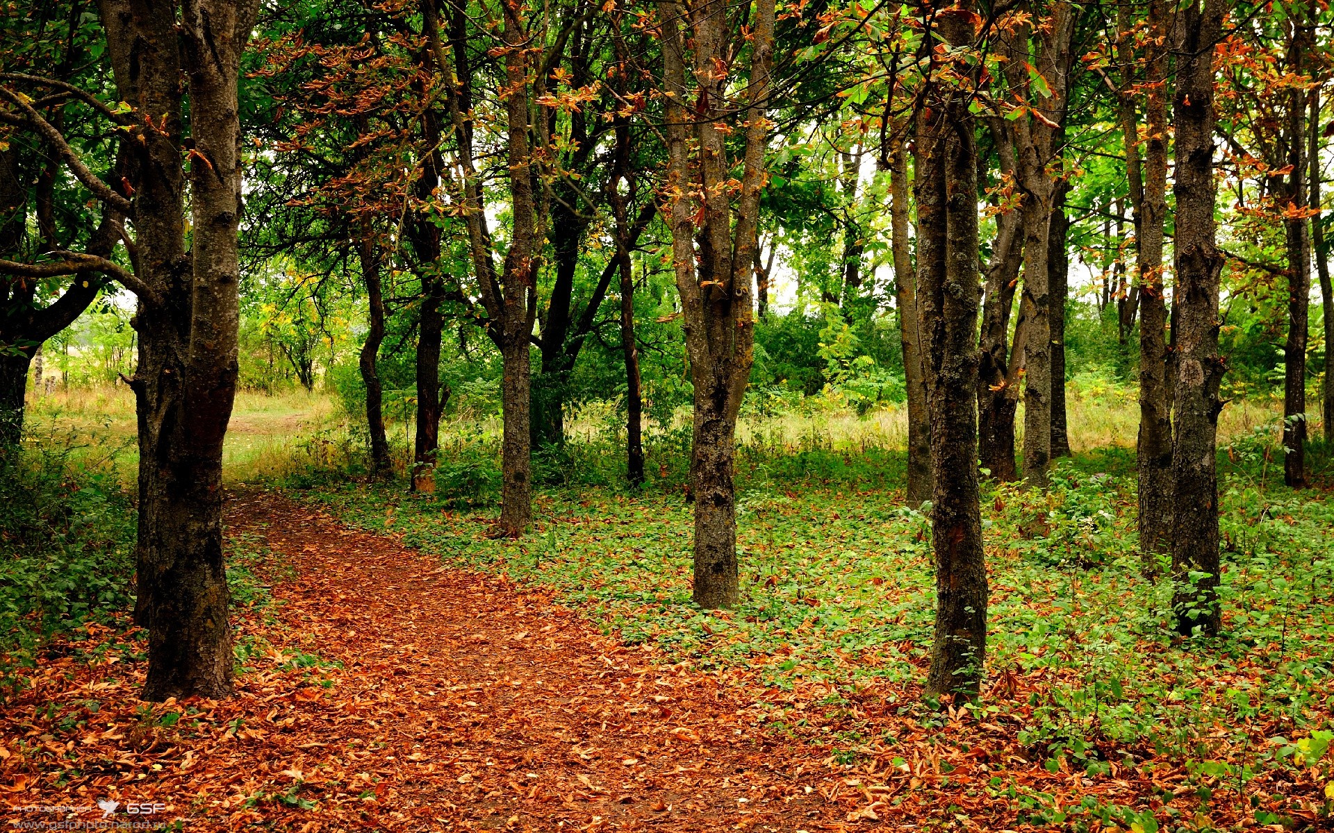 马刺轻取雷霆,英格拉姆的蜕变之夜,如何成为关键先生?